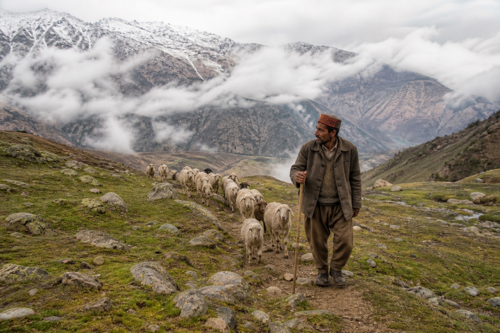 AI visualisation of a fictional Himalayan shepherd guiding a flock across high mountain ground